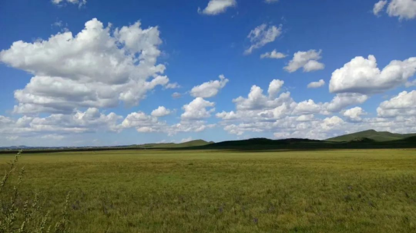 �������ʹ���-׷�󿵽�,����һ������