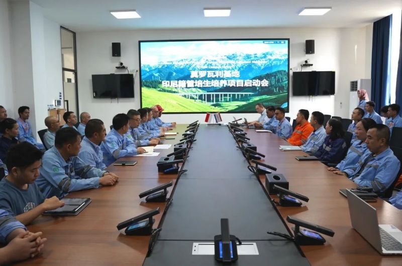 �������ʹ���-׷�󿵽�,����һ������