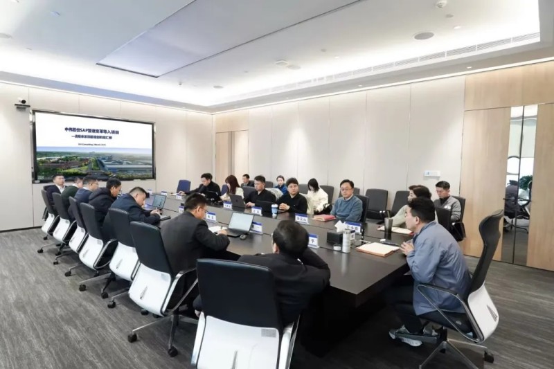 �������Ǹ���|��������:66856top�ɷ�SAP������ﵼ����Ŀ�׶���Ч���㱨��˳���ٿ�