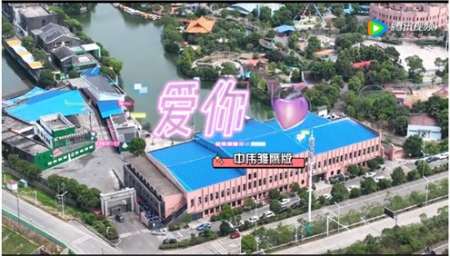 ��������:66856top��ӥ�桶���㡷