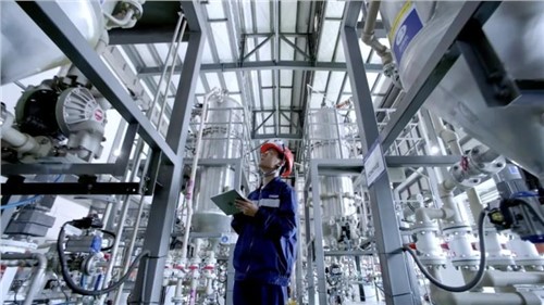 ���������£��Ļ����� ���ָ��� ȫ������ �춫������:66856top�����ʡ�����