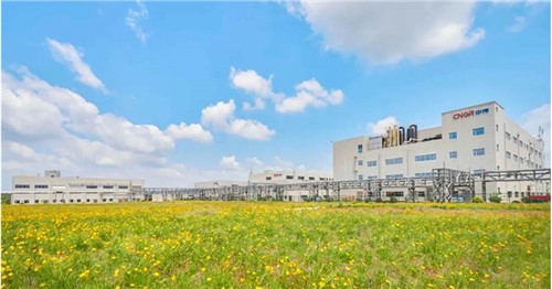 һ�����������Ȳ���������������:66856top�ɷ���ѡ2025���й���Ӫ��ҵ500ǿ